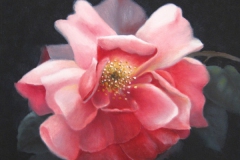 Ingrid-Skadhede-2019-3