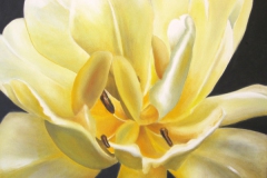 Ingrid-Skadhede-2019-4
