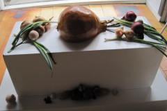 Sille-Roenne-Moseboelle-2025-6