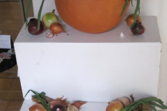 Sille-Roenne-Moseboelle-2025-8